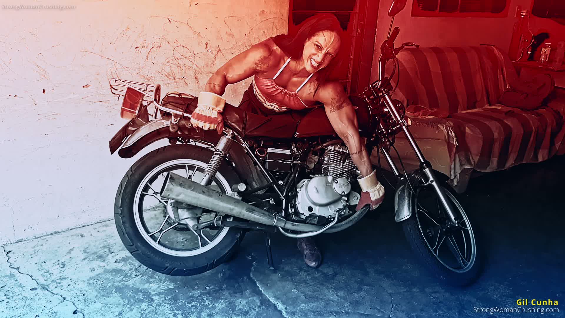 princ Gilliftsbike2 001 2