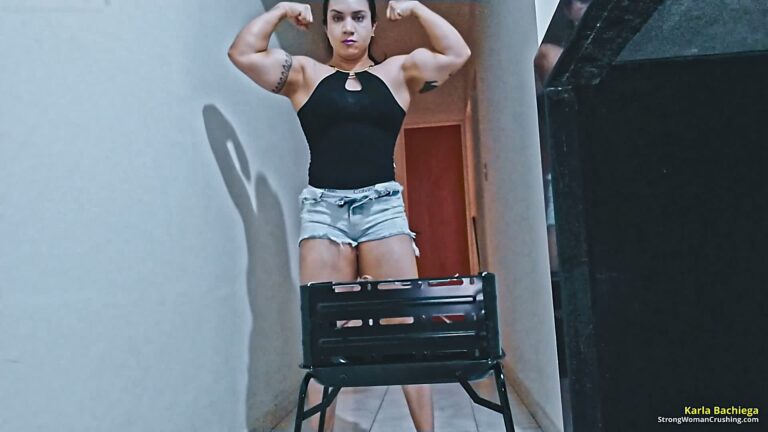 princ Karlabarbecuegrill 001 2