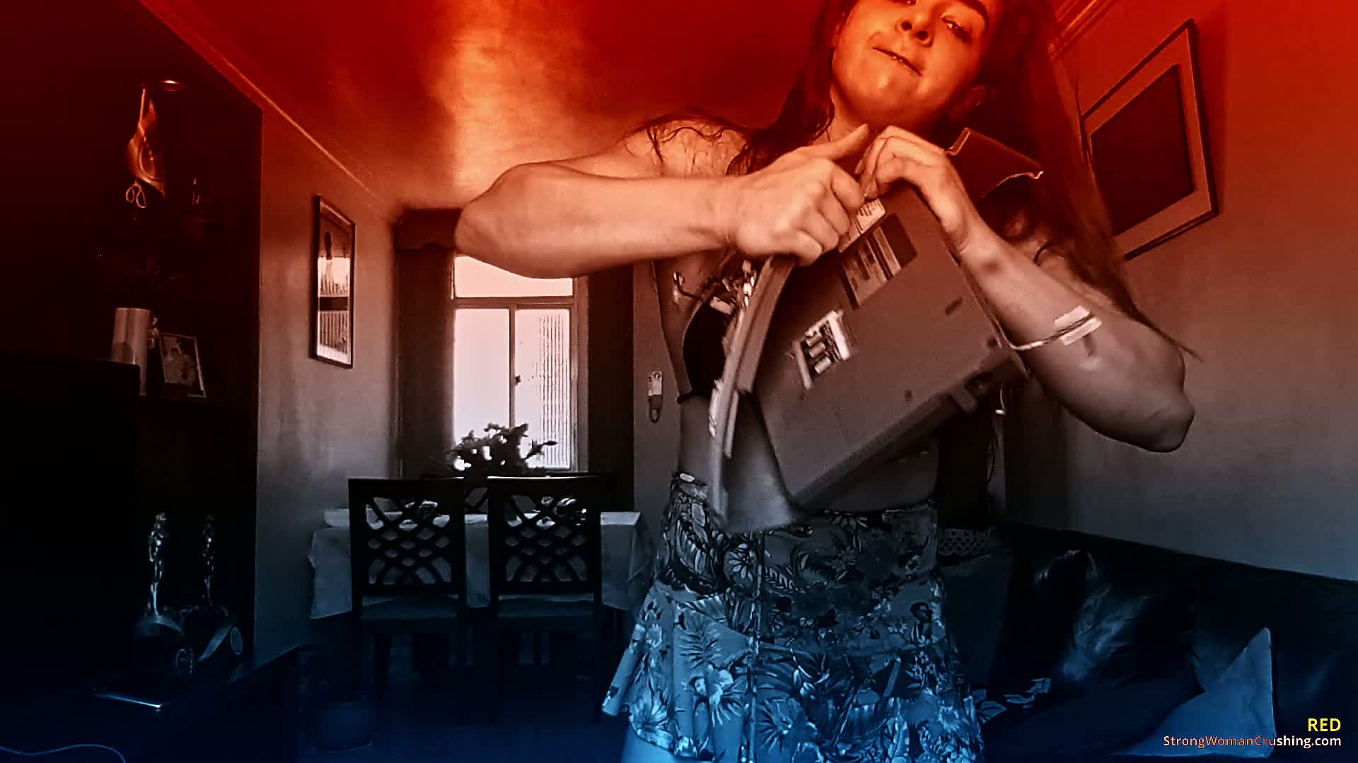 princ Rednotebookdestructionb 001 1