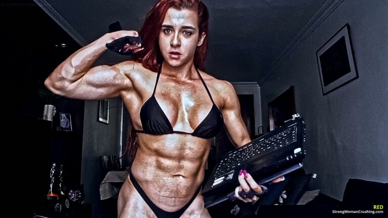 princ Rednotebookshredder 001 3