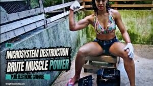 Lidia uses her strength against an old microsystem