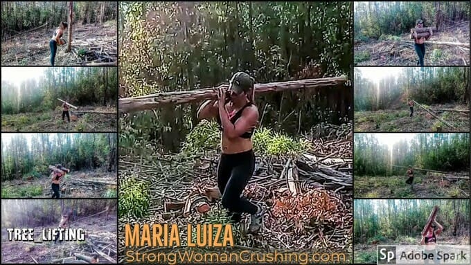 Marialuiza tree lift 0 (0)