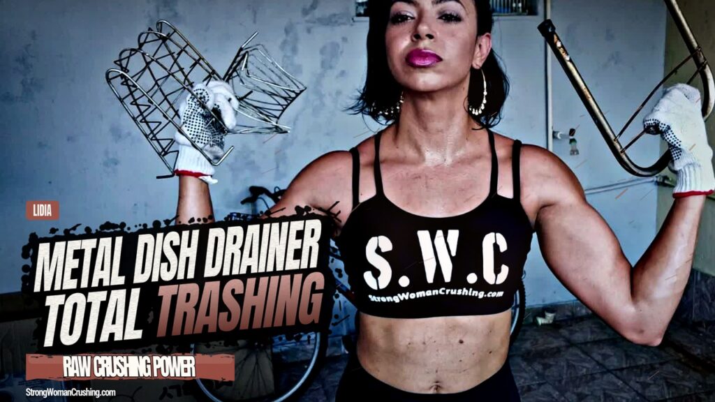 Lidia Metal Dish drainer trashing