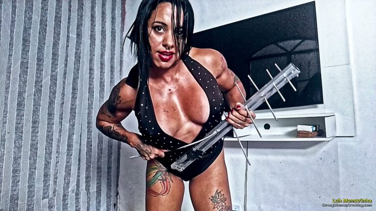 princ LM metal antenna destroyed hard metal 001 7