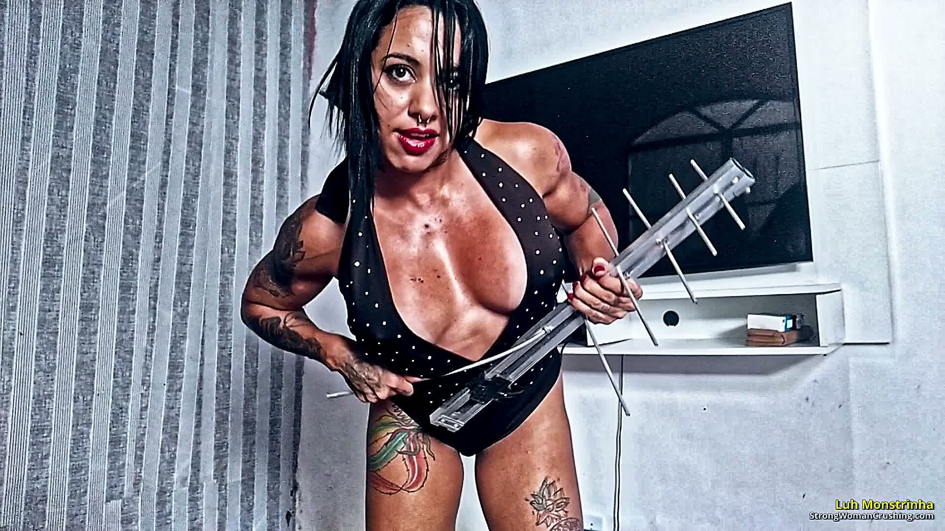 princ LM metal antenna destroyed hard metal 001 7