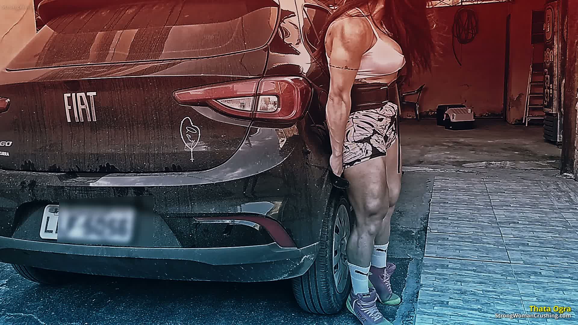 princ TO Carlift Atempt 001