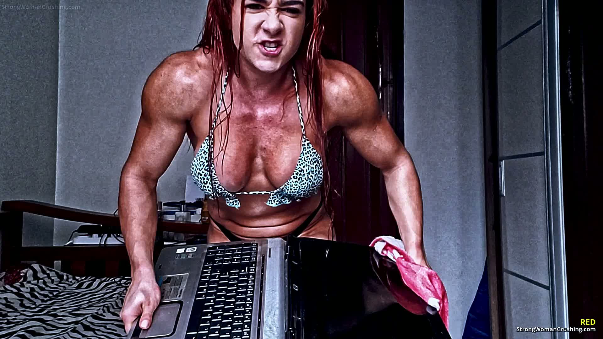 princ RD Big Notebook Ripped Apart 001 2