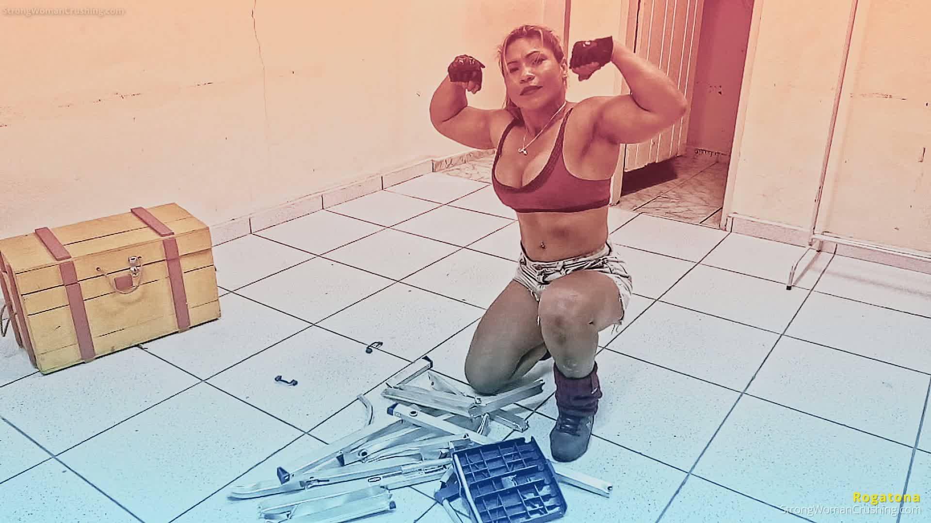 princ RG Metal Ladder 001