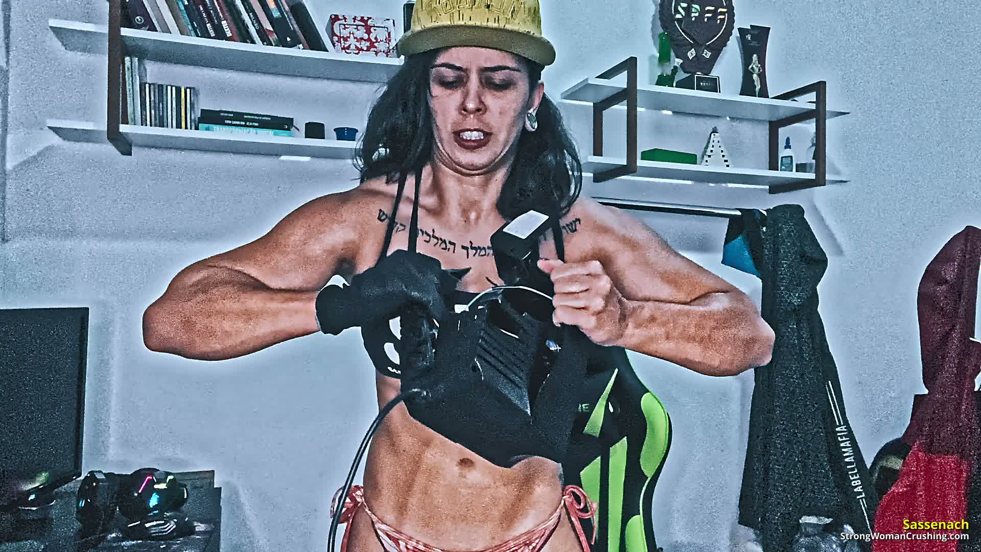 princ SA Estabilizer Destruction 001 6