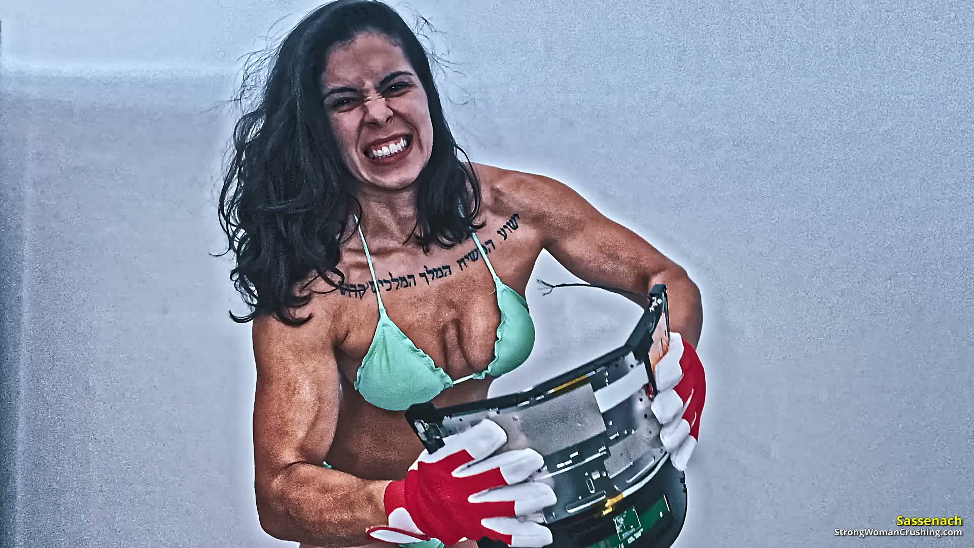 princ SA Notebook Total Destruction 001 4