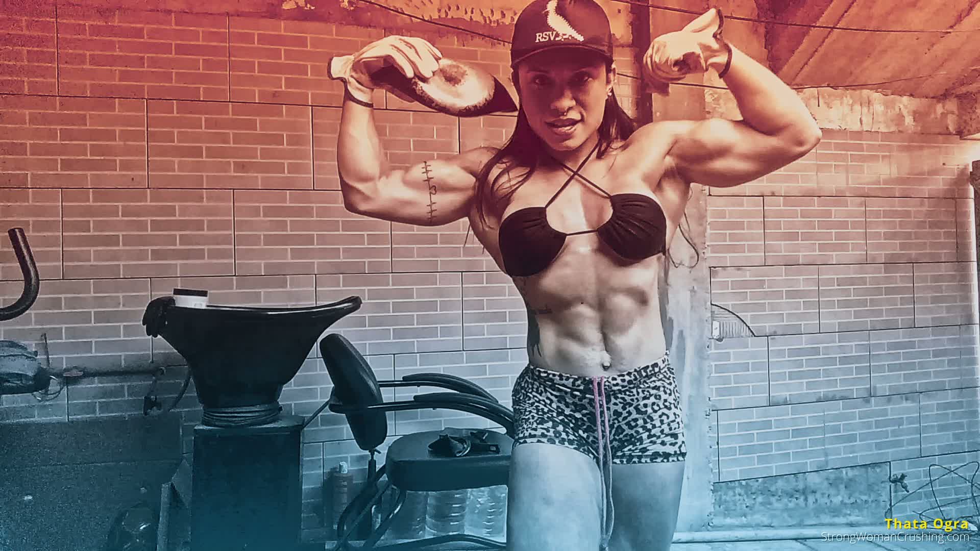 princ TO Metal Pan Crushed 001 1