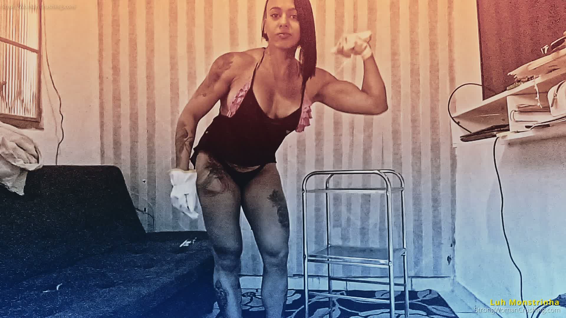 princ LM steel fruit basket destroyed 001