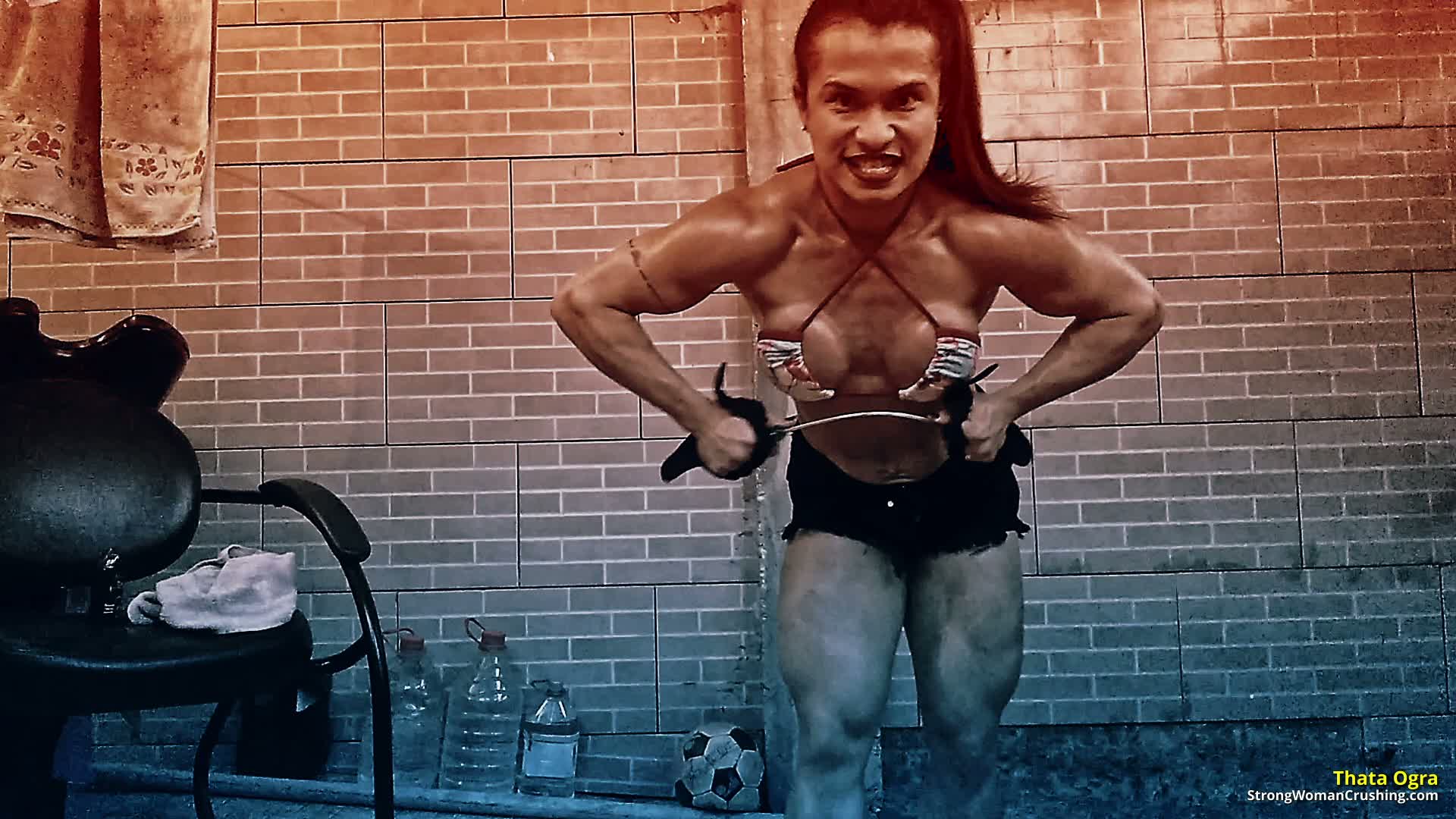 princ TO Big Screwdrivers bent 001