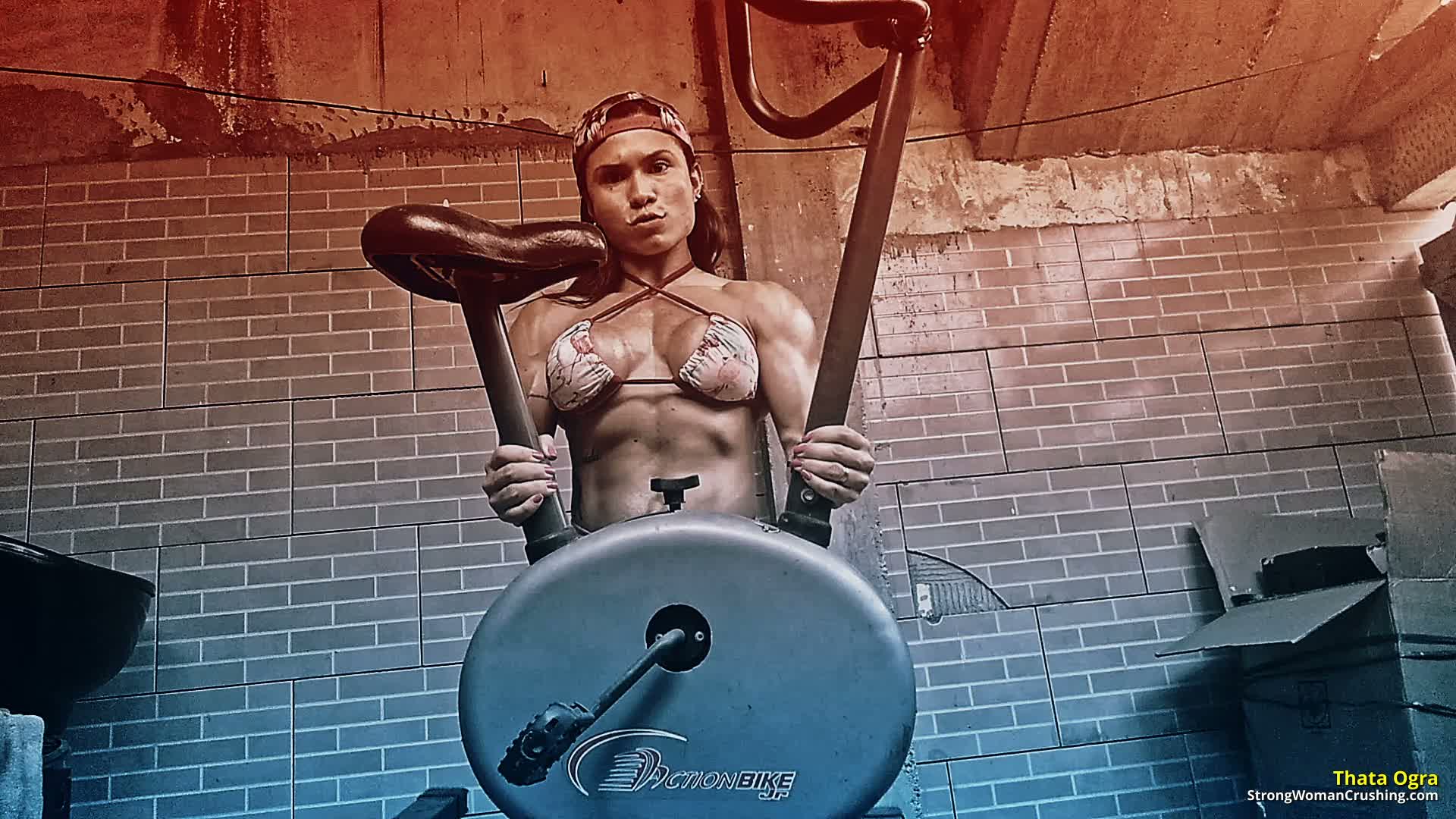 princ TO Lifting Ergometric bike 001