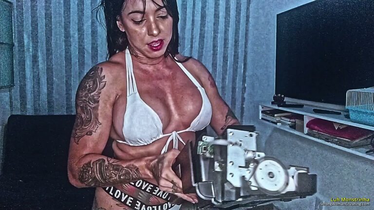 princ LM Printer destroyed 001 3