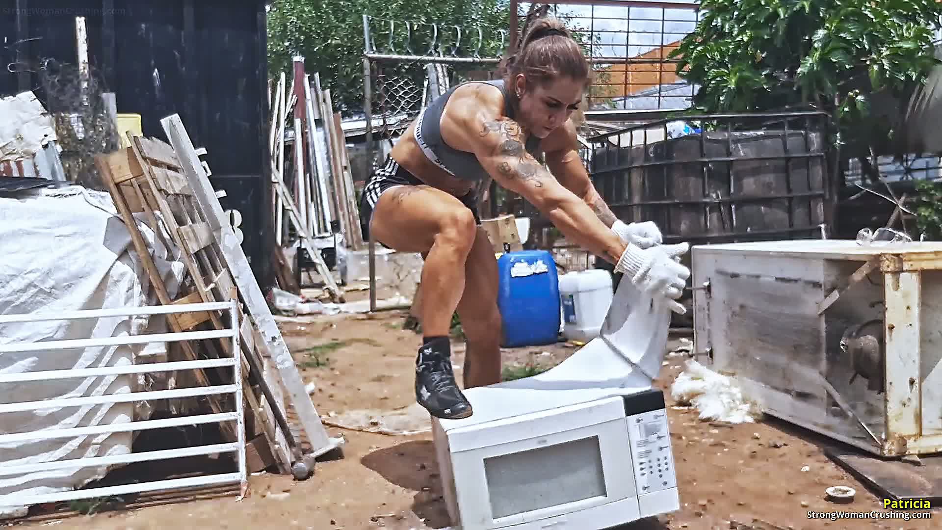 princ PR Microwave 001