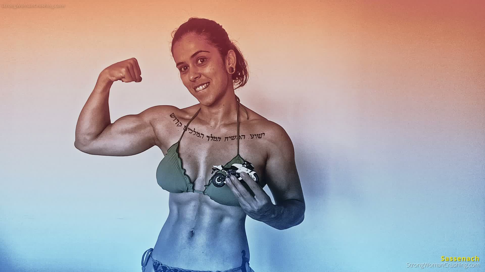 princ SA Model Bike Crushed Pt1 001 1