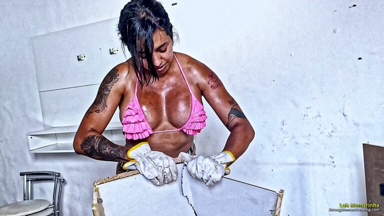 princ LM Furniture Destruction 001 4