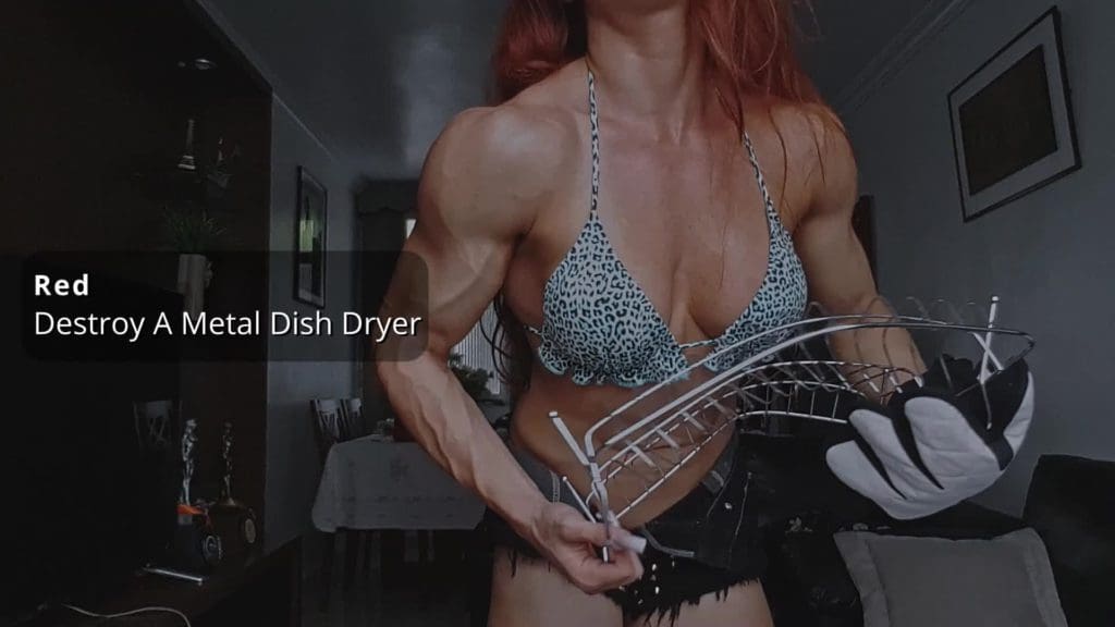 RED destroy a metal dish dryer