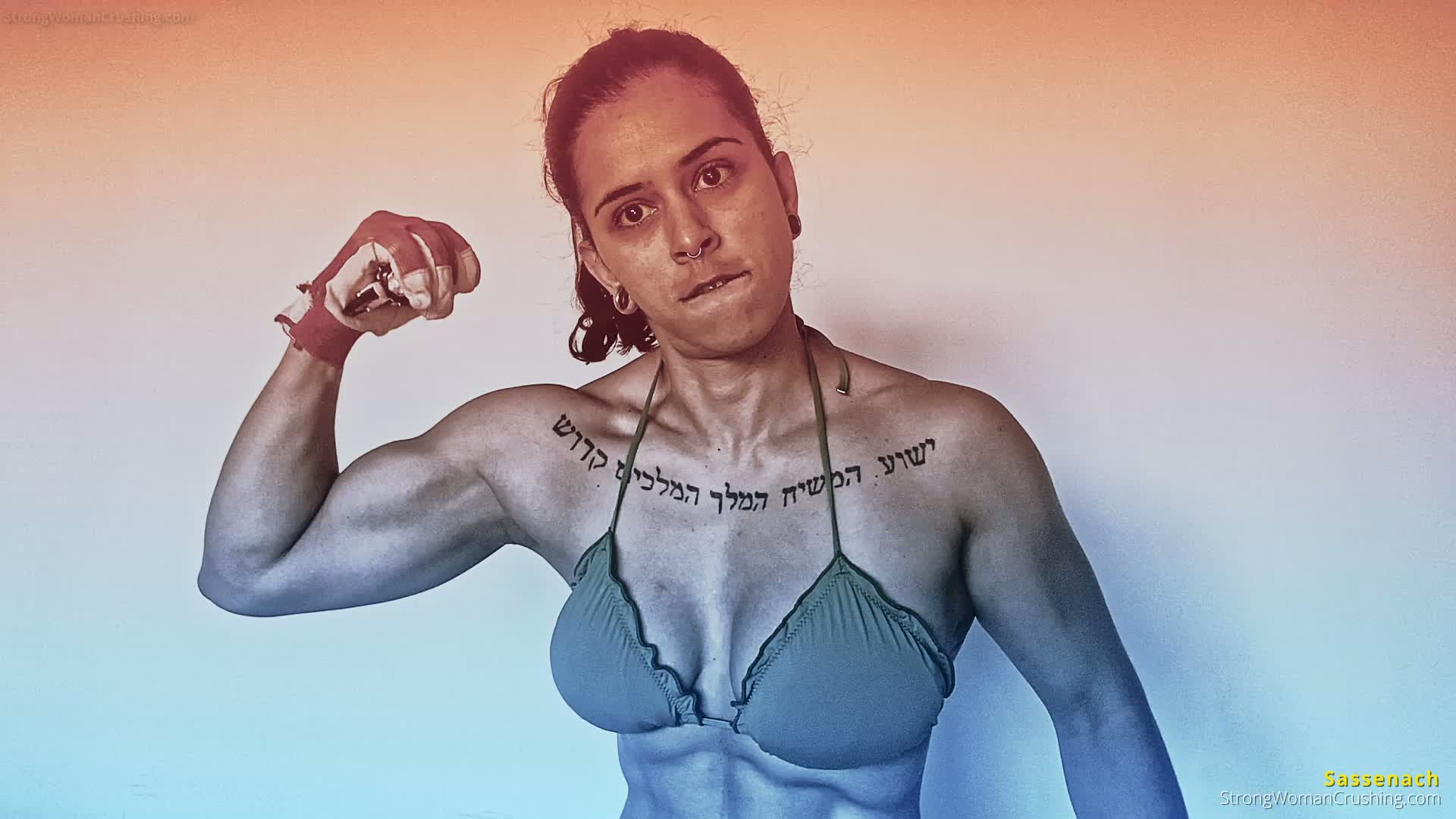 princ SA Model Bike Crushed Pt2 001 1