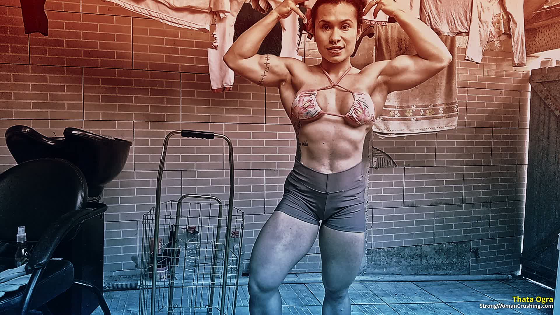 princ TO Faircart Smashed 001