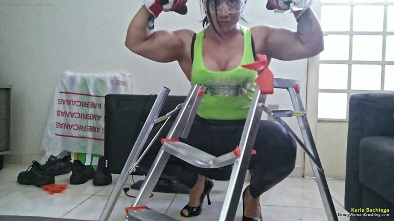 princ KB Metal Ladder 001