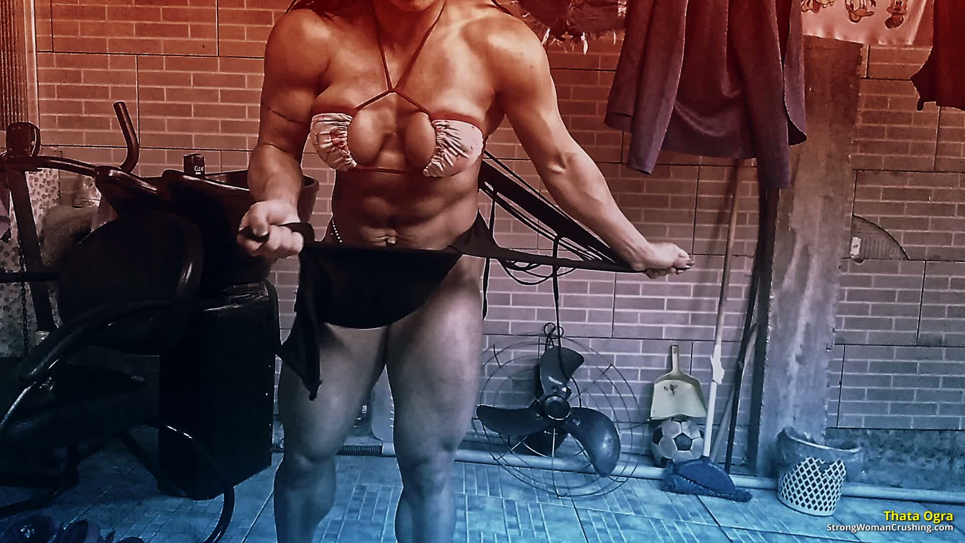 princ TO Cloth destroyer 001