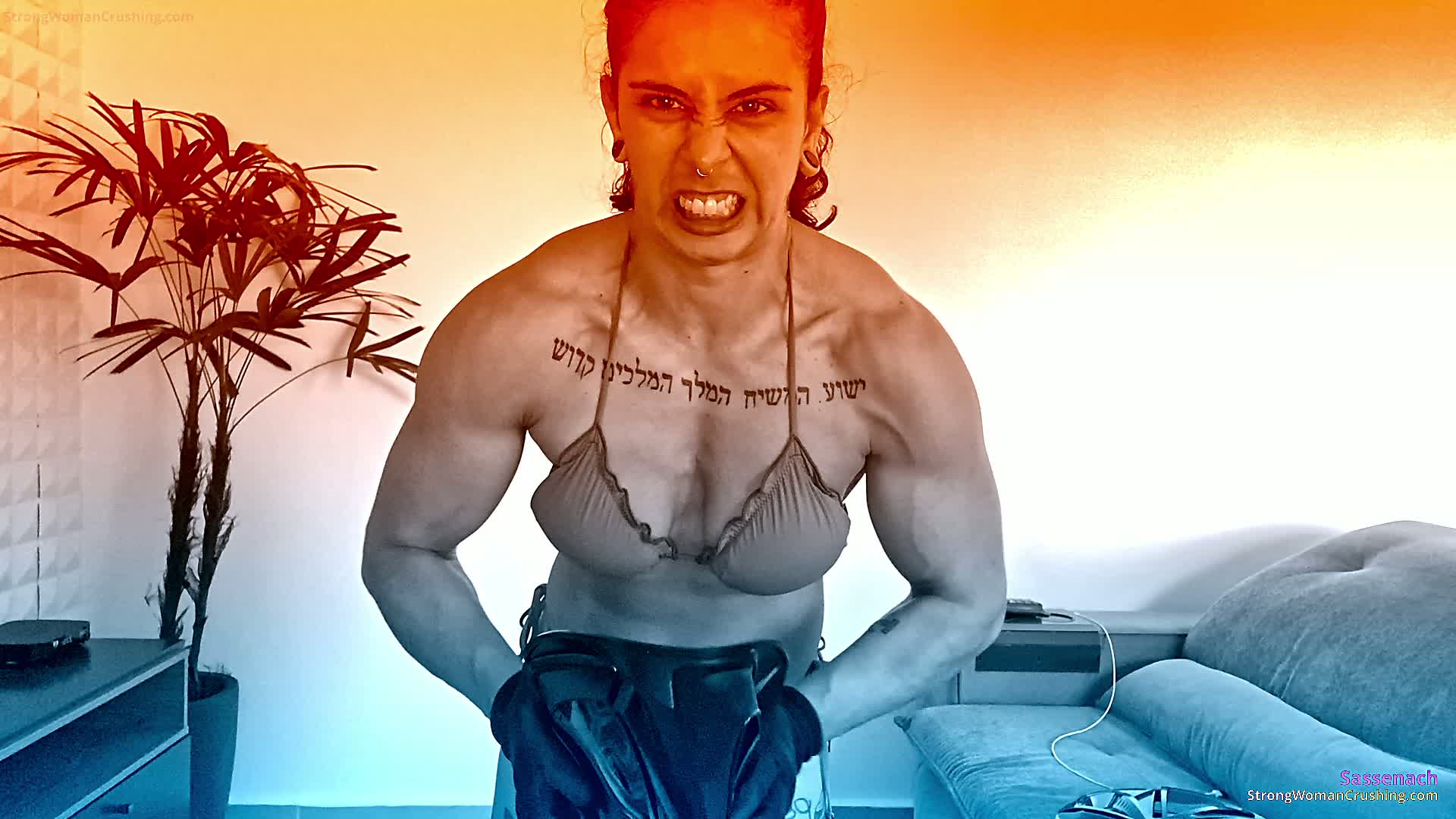 princ SA hubcap destroyer 001 1