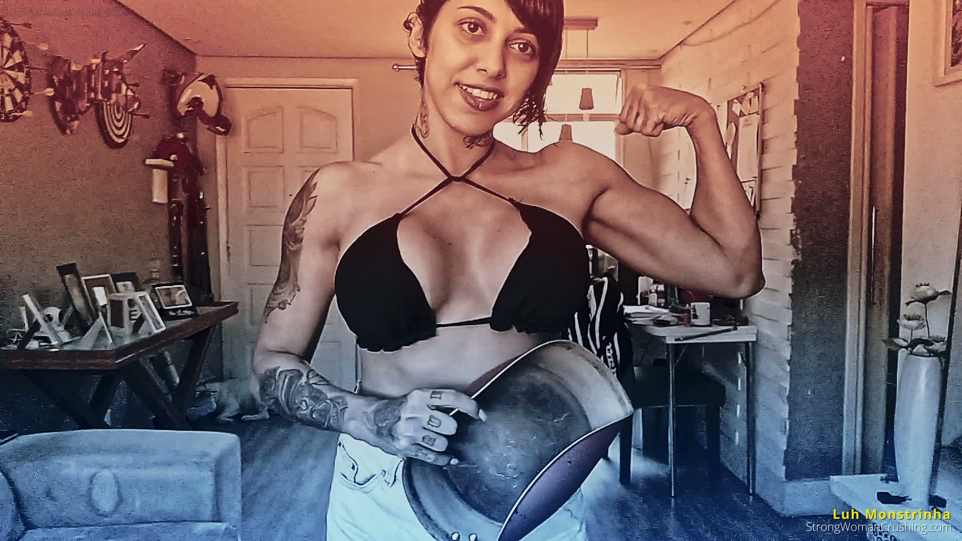 princ LM teflon pan crushed 001 1