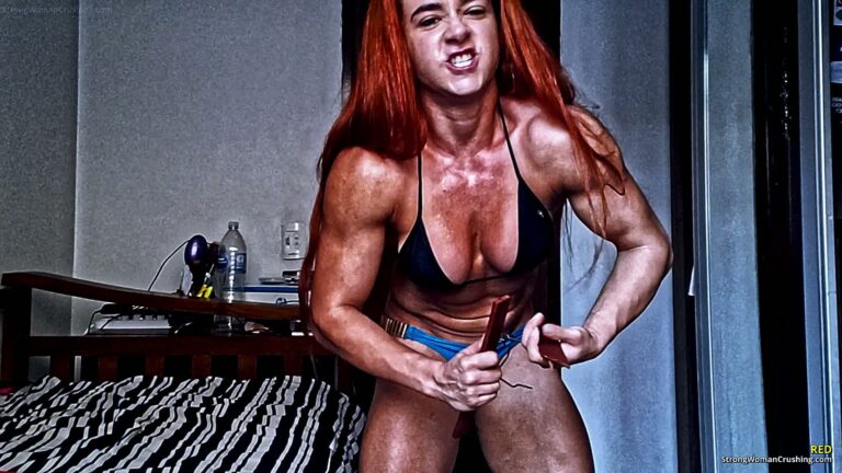 princ RD Reiforced Hanger Destroyed 001 2