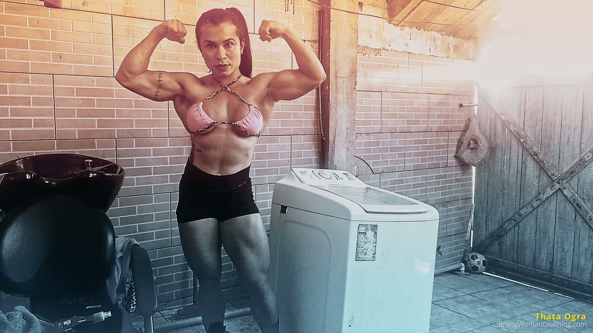 princ TO washing machine 001 1