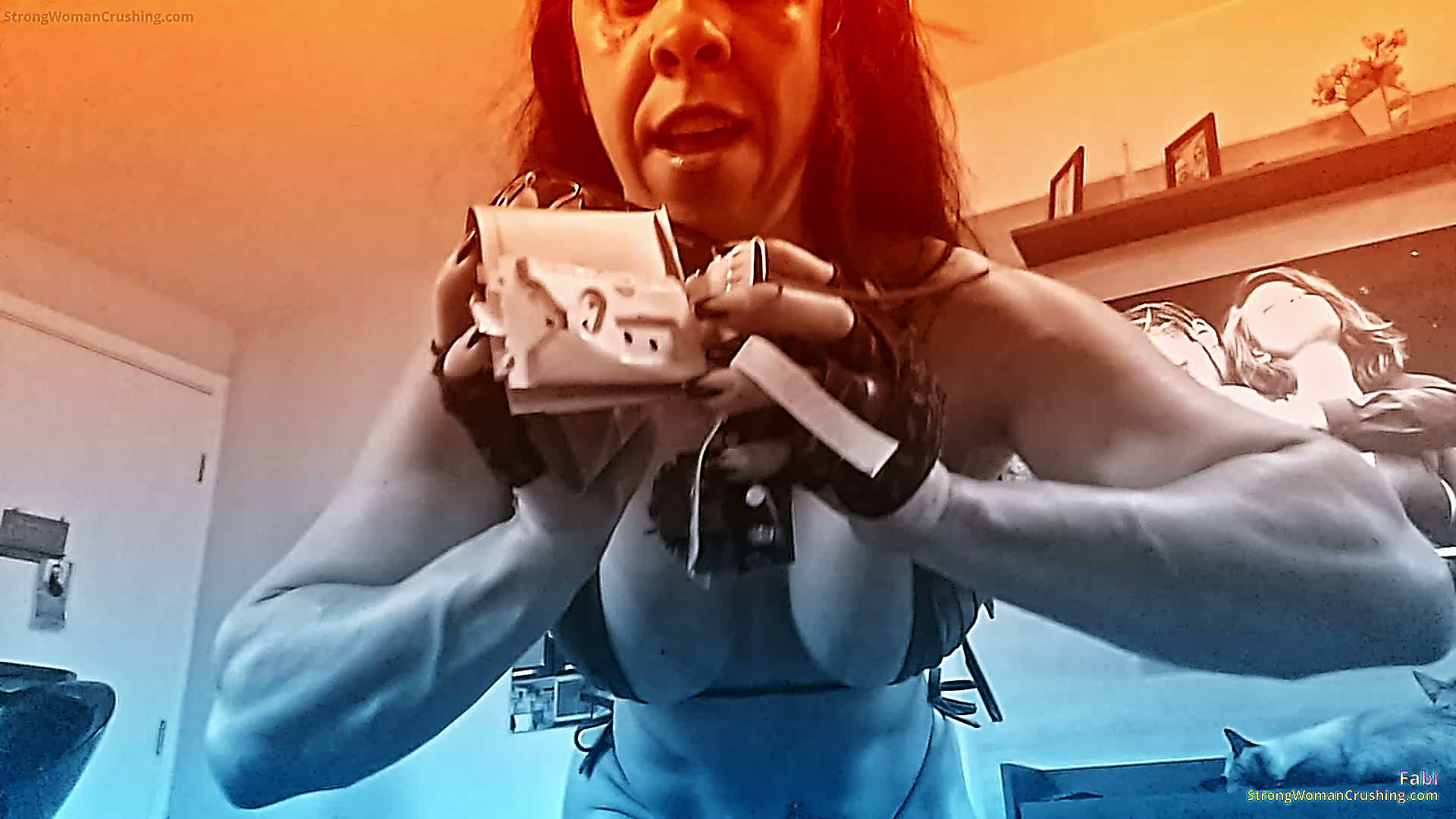 princ FB radio destroyed 001