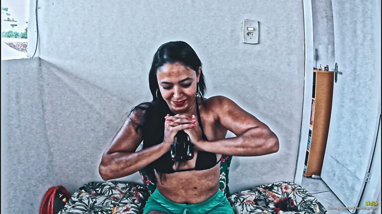 princ LP Metal Toycar destroyed 001 1