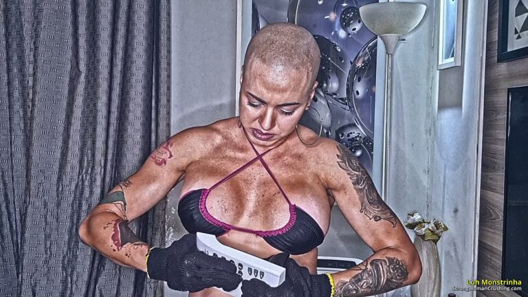 princ LM Phone crushing power 001 1