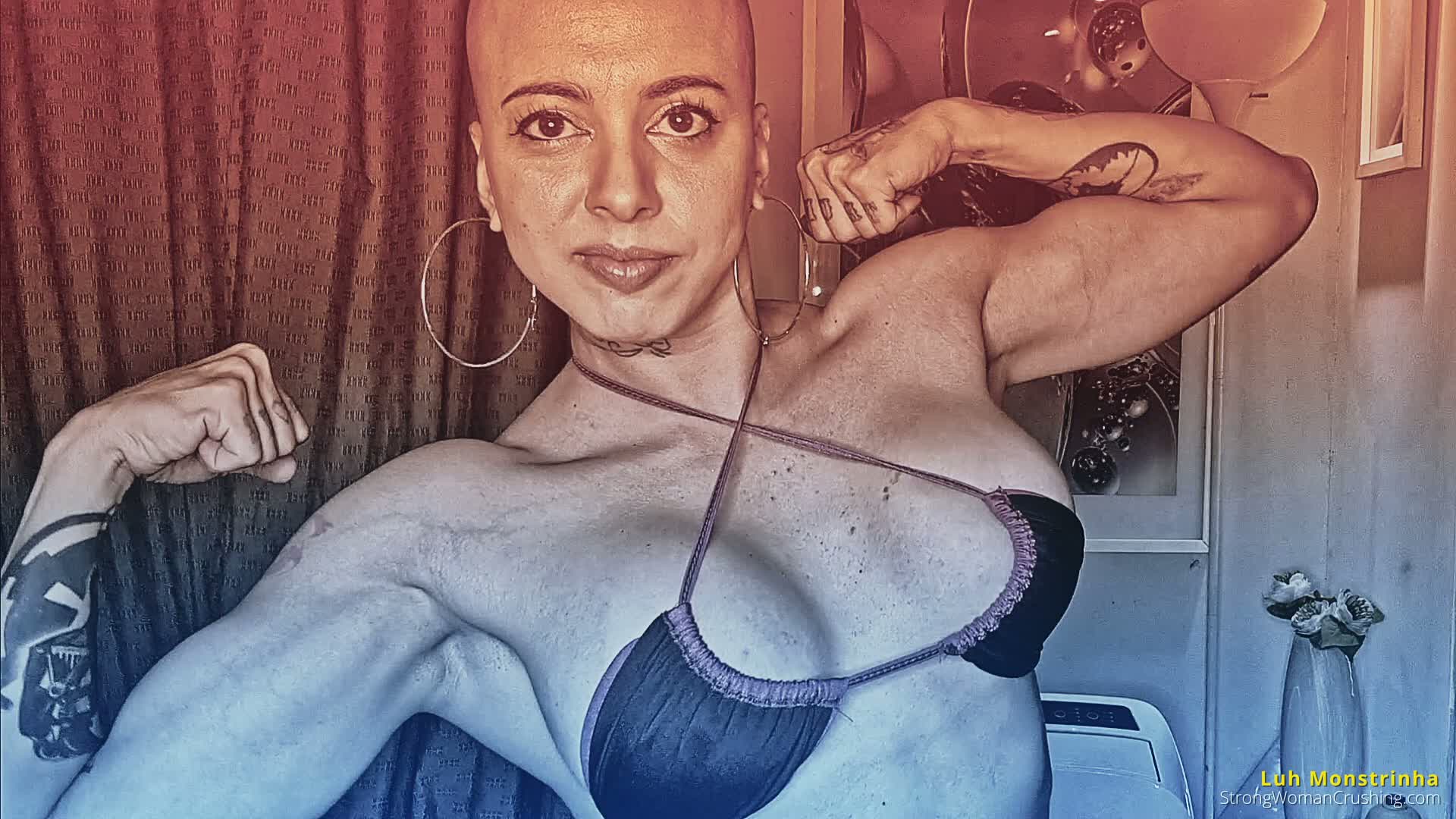 princ LM Phone crushing power 001