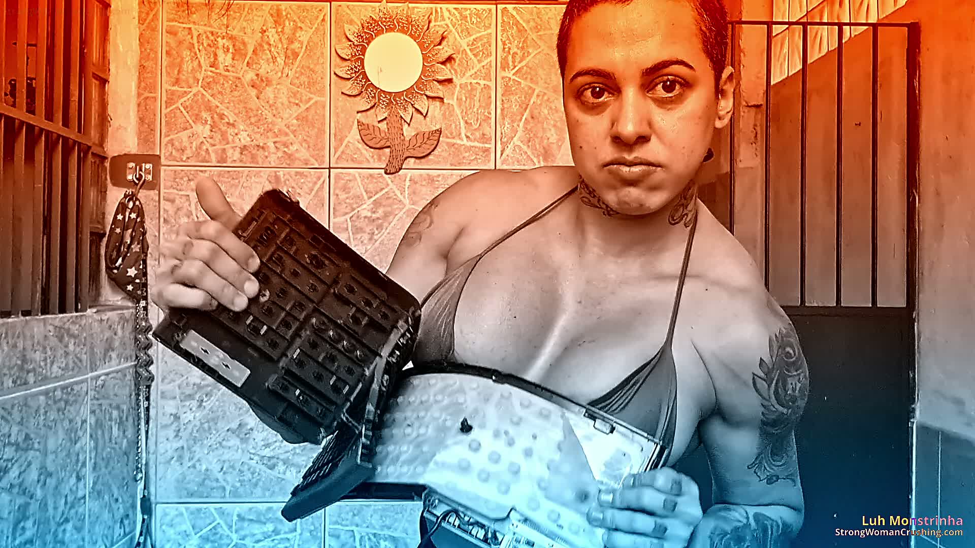 princ LM Keyboard destruction 001 2