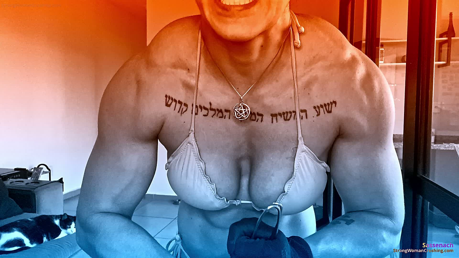 princ SA Metallic hangers 001 2