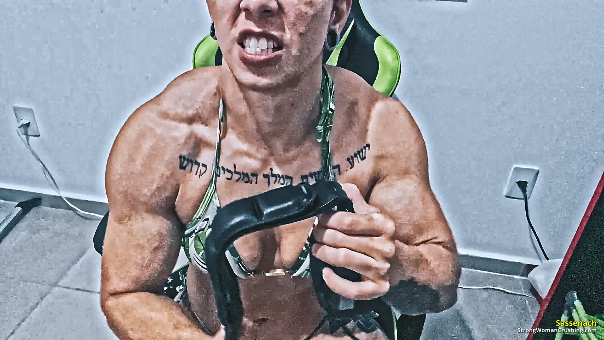 princ SA headset destroyer 001 2