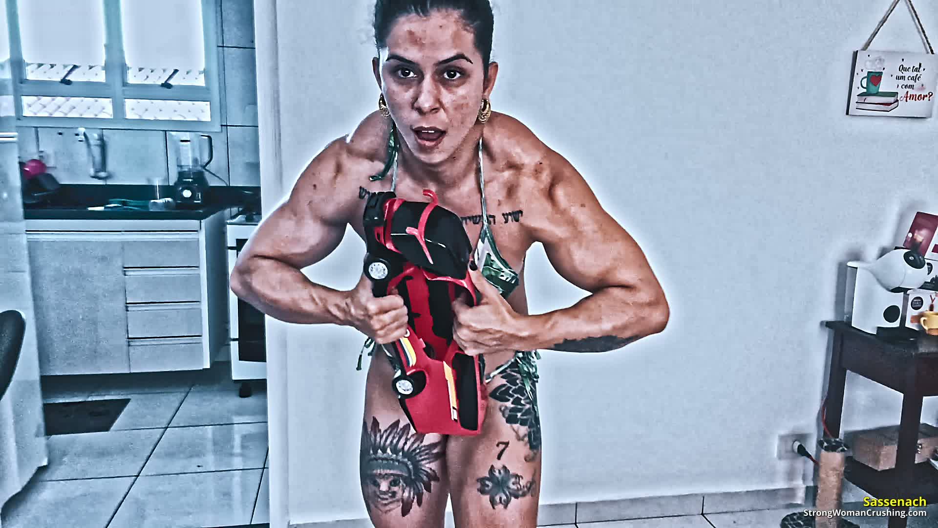 princ SA toybus crushing 001 2