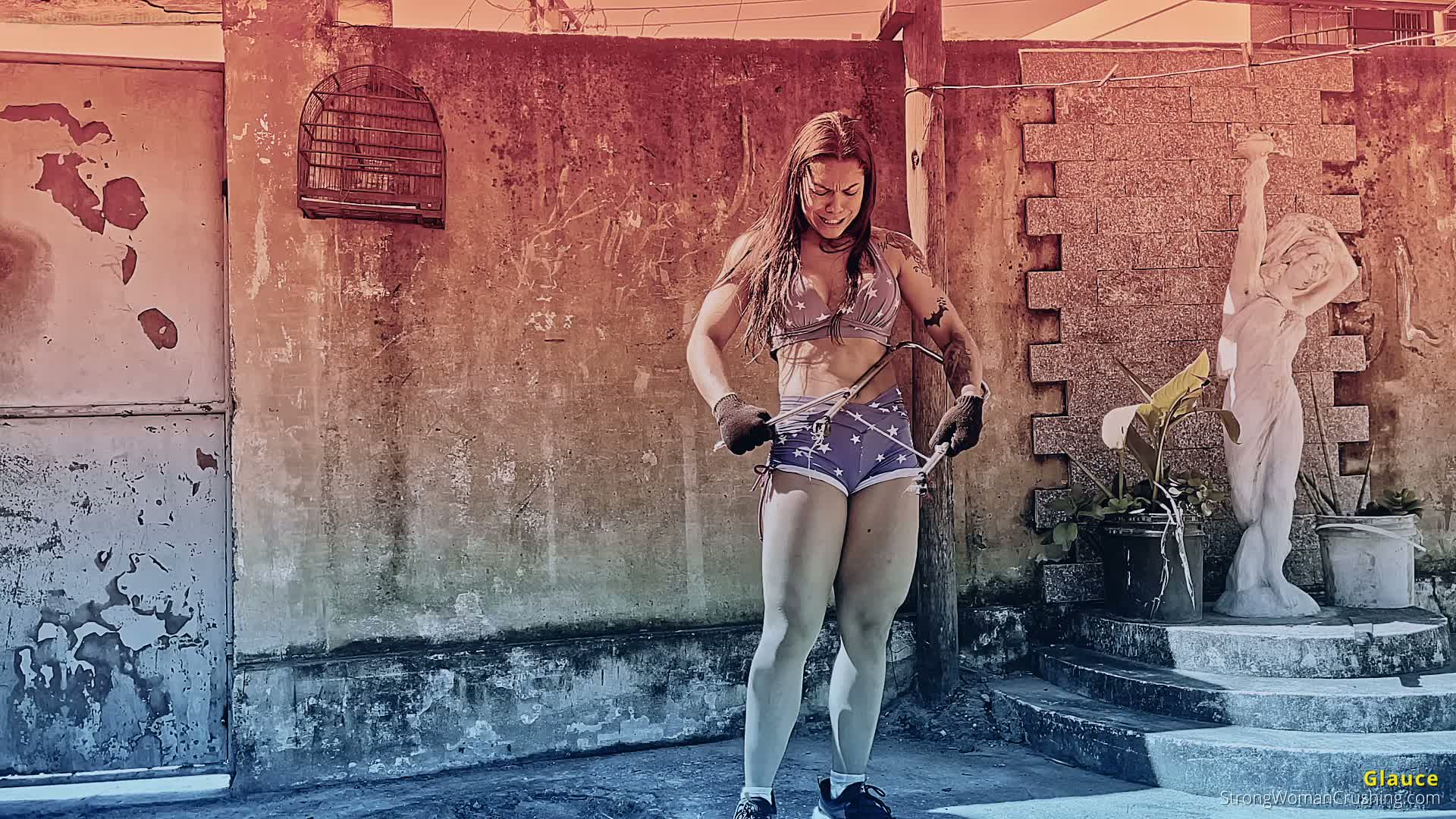 princ GX stool destruciton 001