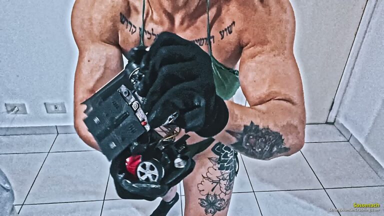 princ SA Remote car destruction 001 4