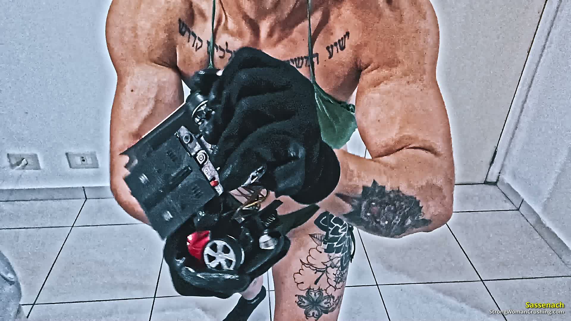 princ SA Remote car destruction 001 4