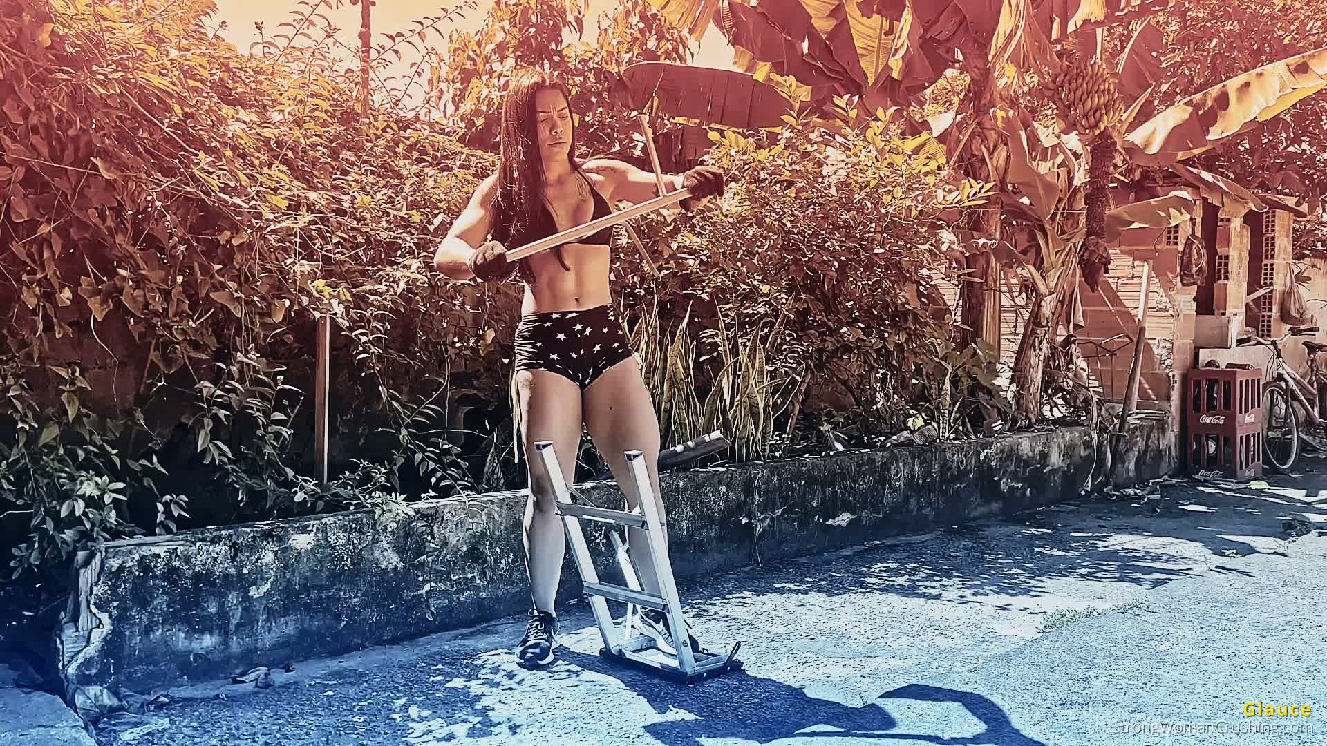 princ GX metal ladder smashed 001