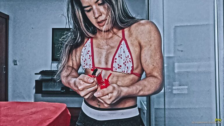 princ JTR Red metal car crushed 001 1