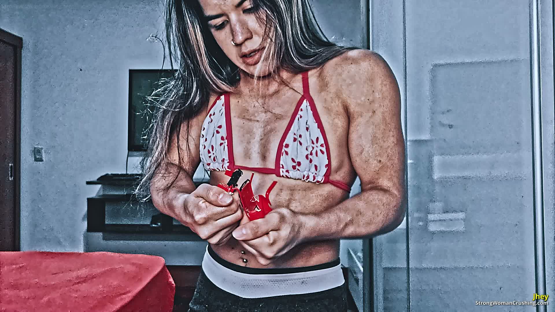 princ JTR Red metal car crushed 001 1