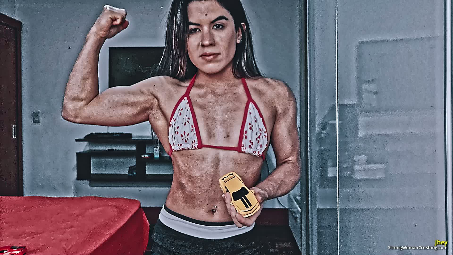 princ JTR yellow metal car destroyed 001 1