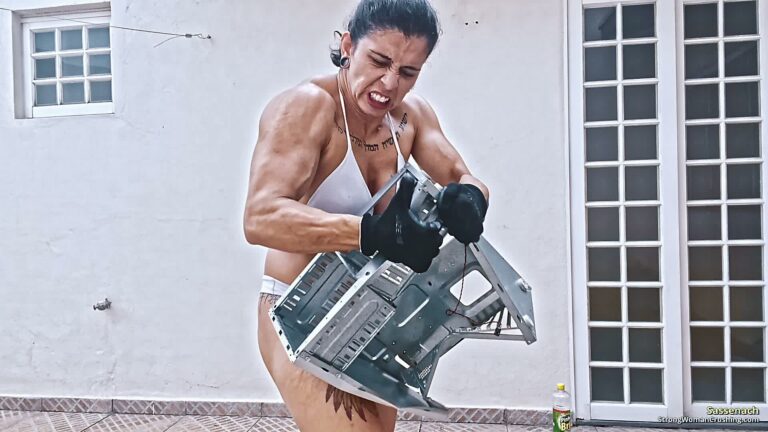 princ SA Computer gabine destruction 001 3