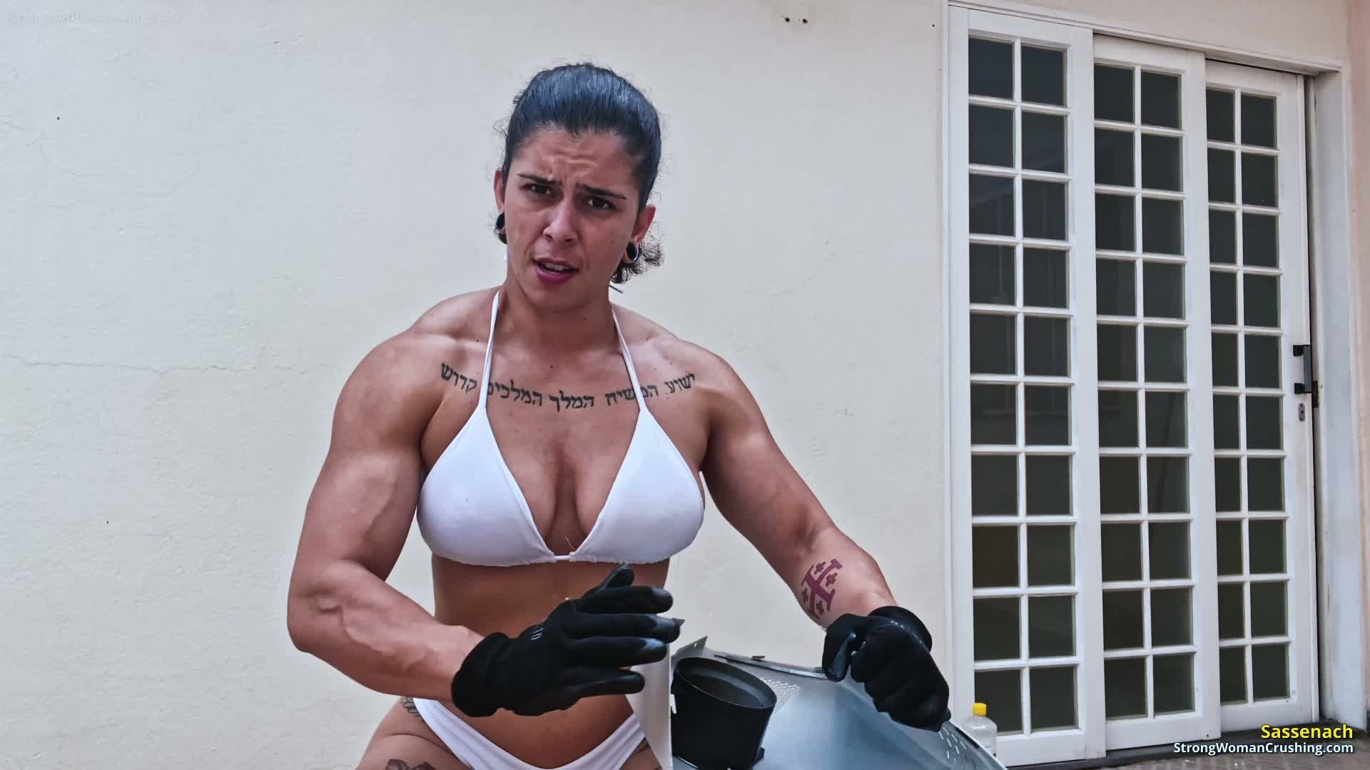 Sassenach destroys a computer cabinet