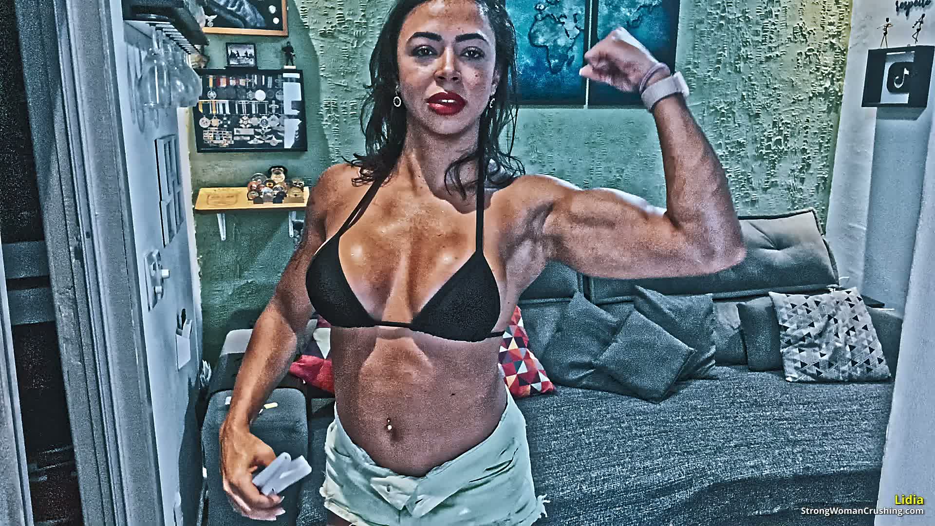 princ LP Metal bending brackets 001 3