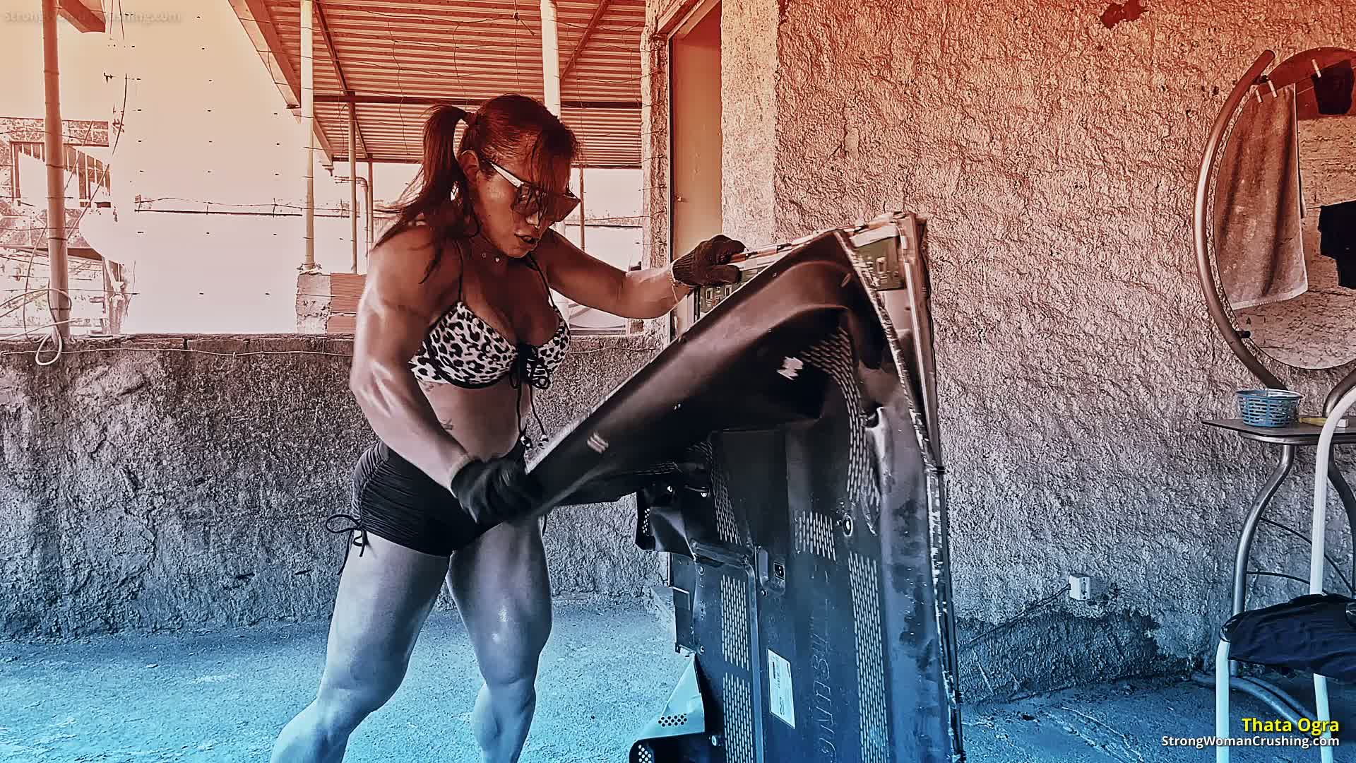 princ TO 20240903 TV destruction 001 1